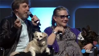 The ballad of Gary and Carrie Fisher-yzb4riXGWnA