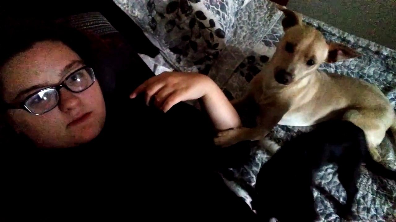 NO VLOG SORRY
