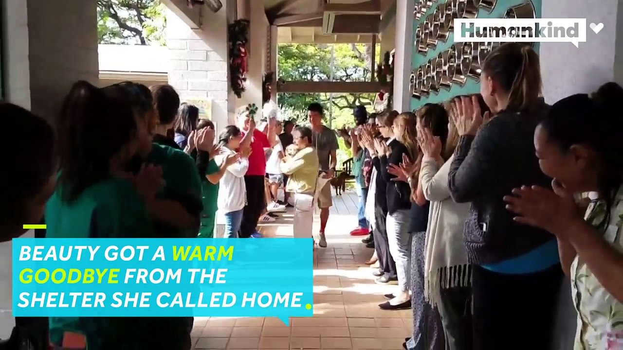 Dog gets a standing ovation on adoption day-GroYQ-q0rjI
