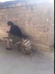 ملا ولد حرام هههههههه