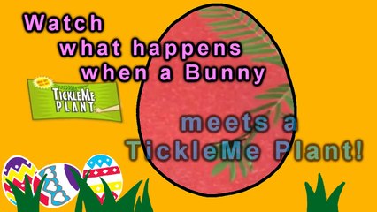 Easter Bunny Meets TickleMe Plant-ynyoDe1z9vo