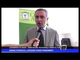 Aziende Vitivinicole, la Regione stanzia finanziamenti