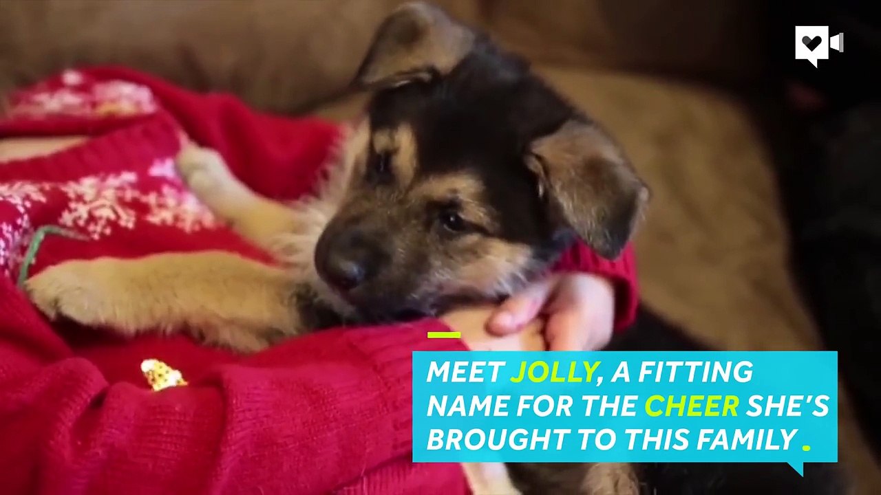 Police give family a puppy after they suffer a terrible loss-gwghmeoqsj4