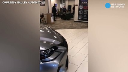 Oh, Deer! Car dealership gets unexpected visitor-ziB0G90IcJk