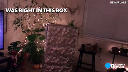 Parents freak out over daughter's Christmas surprise-Ss9Vrp2nKfo