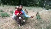 Feeding Monkeys In The Jungle Amusing Video new