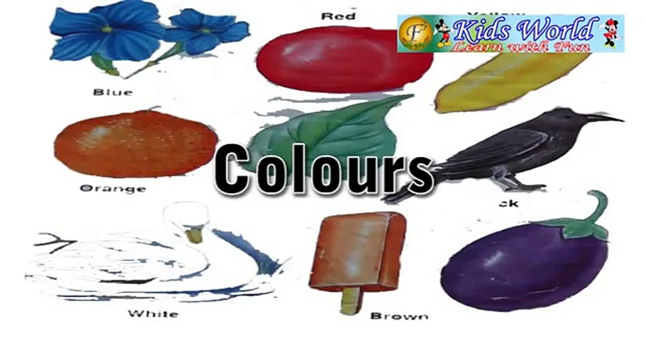 Colors