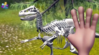 Finger Family Dinosaur Skeleton Family Nursery Rhyme _ 3D Finger Family Songs For Children-XpjuZ9sLCZM