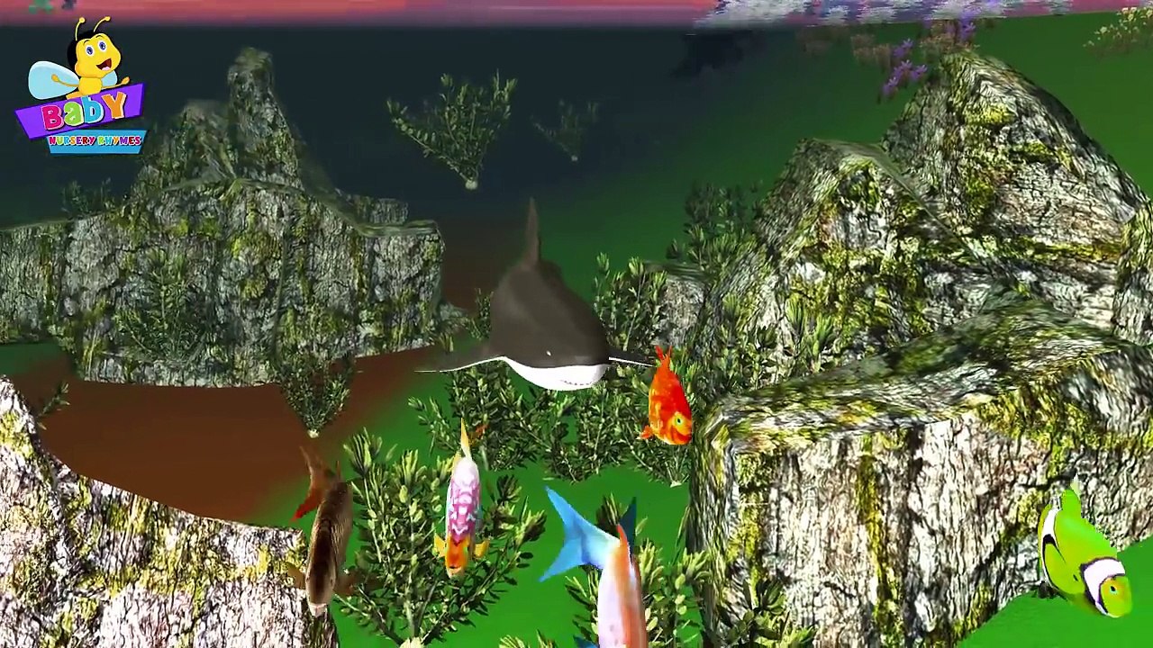 Finger Family Shark Family Nursery Rhyme 3D _ Animal Finger Family _ Fish Finger Family for Kids-IAqfm4PN1G8