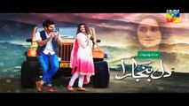 Dil Banjaara Episode 15 Promo HUM TV Drama 20 January 2017