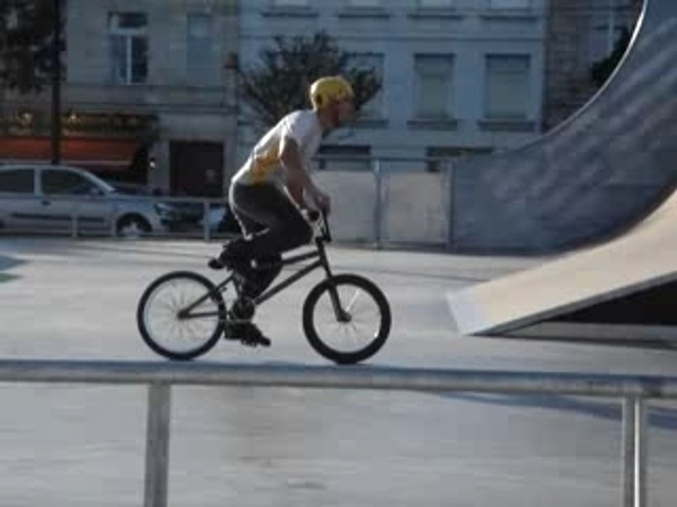 Whip manual