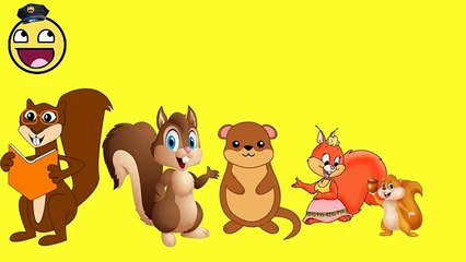 Kids Song | Squirrel Finger Family Songs for Children Nursery Rhymes | Early Learning