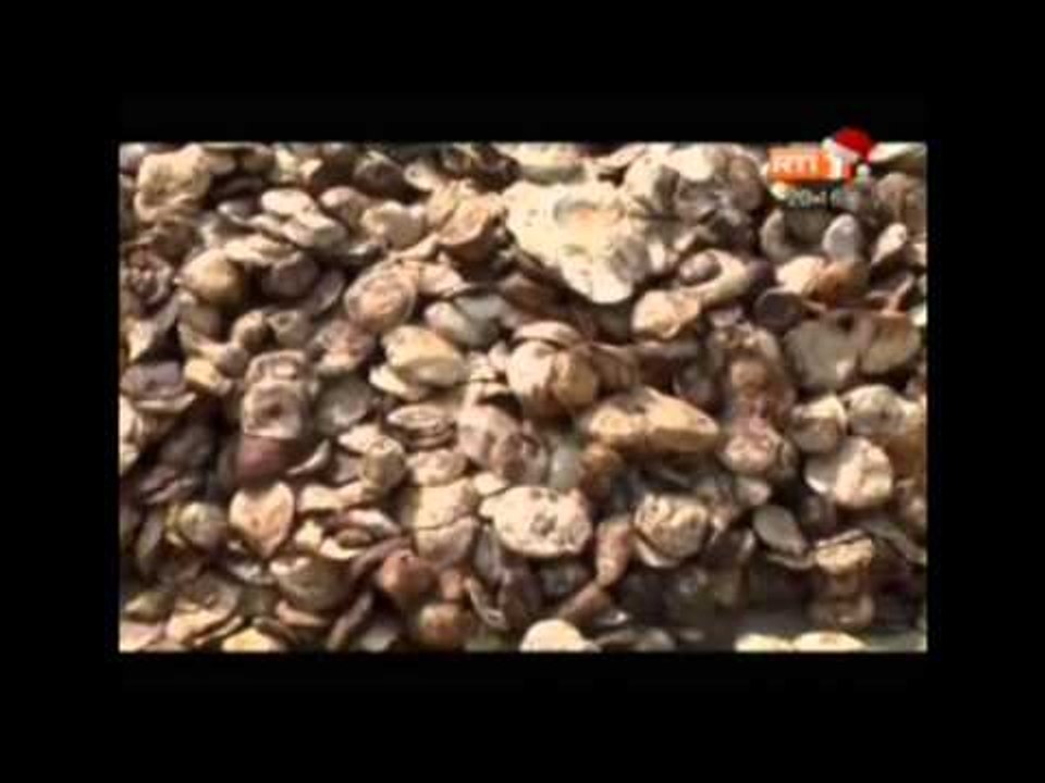 RTI - Edition de 20h du JT du jeudi 25 décembre 2014