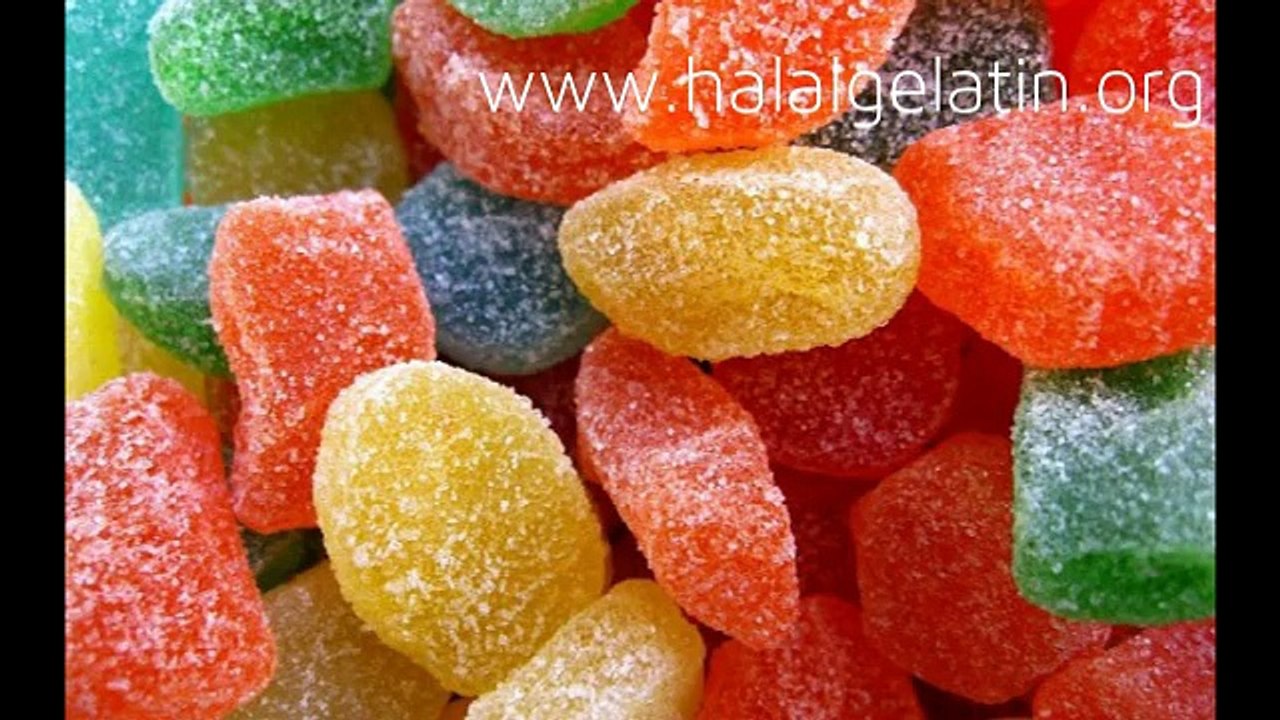 Halal Gelatin Iran, Malaysia, Indonesia, Turkey, Germany