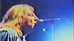 Status Quo Live - Whatever You Want(Parfitt,Bown) - Summer Festival Tour Skanderborg Denmark 11-8 1995
