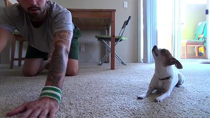 Cet homme fait sa séance de yoga mais il n’est pas seul. Ce qu’on voit nous laisse bouche bée !