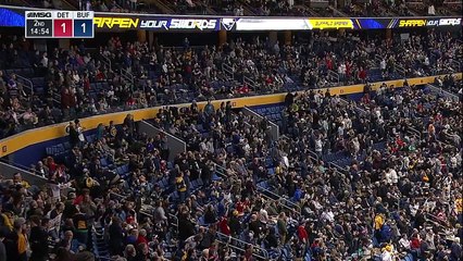 Detroit Red Wings vs Buffalo Sabres | NHL | 20-JAN-2017
