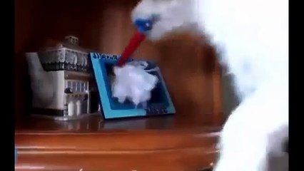 Собака Робот!