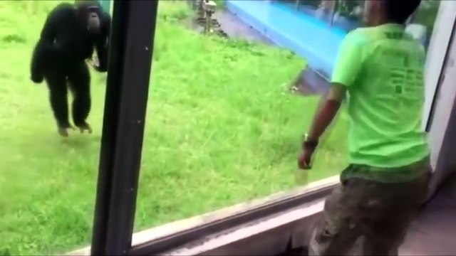 ТОЛЬКО для ВЗРОСЛЫХ ДЕТЯМ НЕ СМОТРЕТЬ Топ ЛУЧШИХ ПРИКОЛОВ №284 Тест на психику