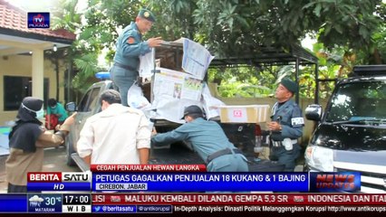 Seorang Pedagang Belasan Hewan Langka Ditangkap di Cirebon