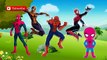 Finger Family Rhymes | Superhero | Spider Men | Cartoons | Nursery Rhymes | Collection