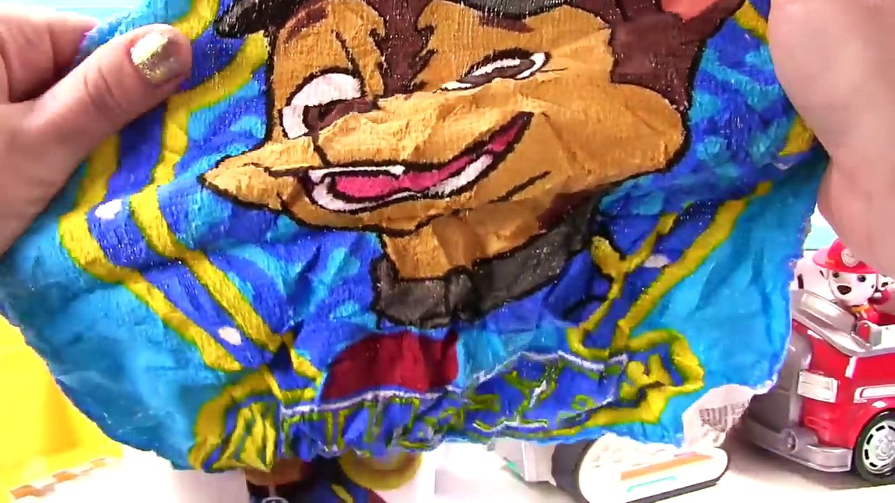 HUGE Paw Patrol & PJ Masks Toy Surprise Blind Box Show | Fizzy Toy Show