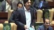 MPA Imdad Pitafi's Shameful Remarks About Nusrat Sehar Abassi in Sindh Assembly