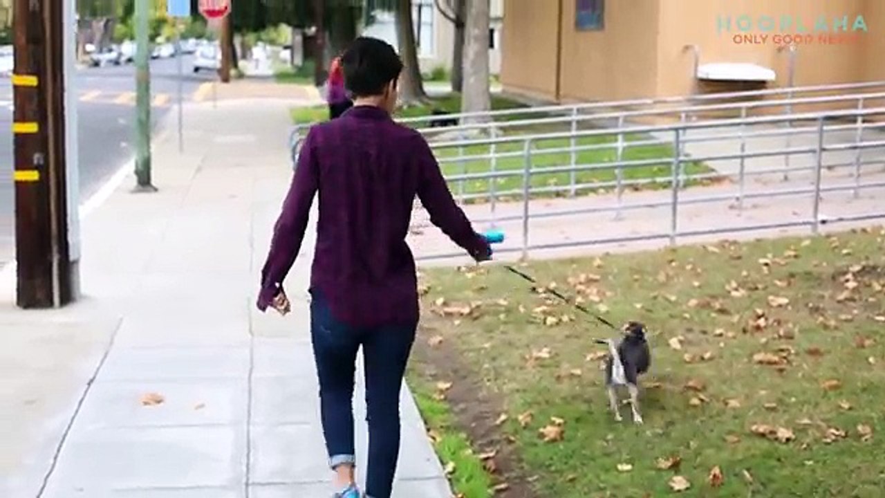 Ce chien presque tué par des brûlures chimiques rencontre sa nouvelle maîtresse. Cette dernière a un passé similaire à celui du chien