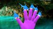 Killer Sharks Vs Angry Dinosaurs Finger Family |Cartoon Wild Animals Fights