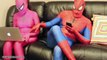 PINK SPIDERGIRL PREGNANT VS SPIDERMAN IN REAL LIFE! Superhero movie fun IRL