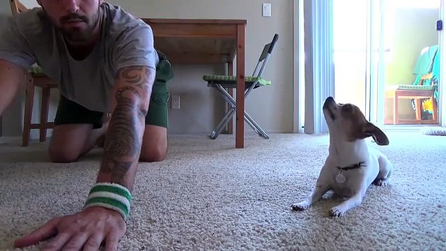 Petite séance de yoga avec... Son chien!