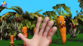 The Finger Family Carrot Family 3D Nursery Rhyme _ Carrot Finger Family Songs-zTi0Xml10Aw