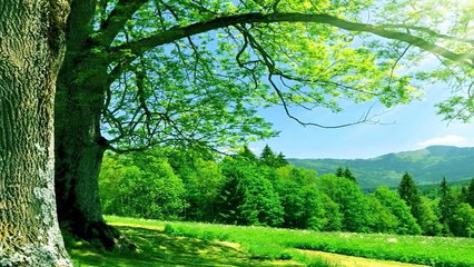 भारत के सबसे बड़े रहस्य हार रात १० बजे के बाद औरतें लगाती है मर्दों की बोली secrets of India - YouTube