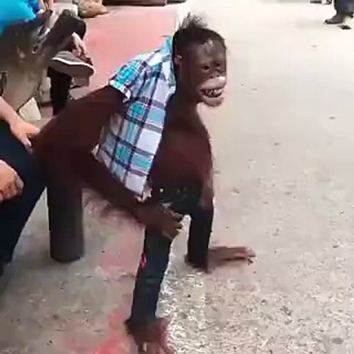OLHA O MACACO