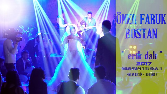 ÖMER FARUK BOSTAN - ERİK DALI