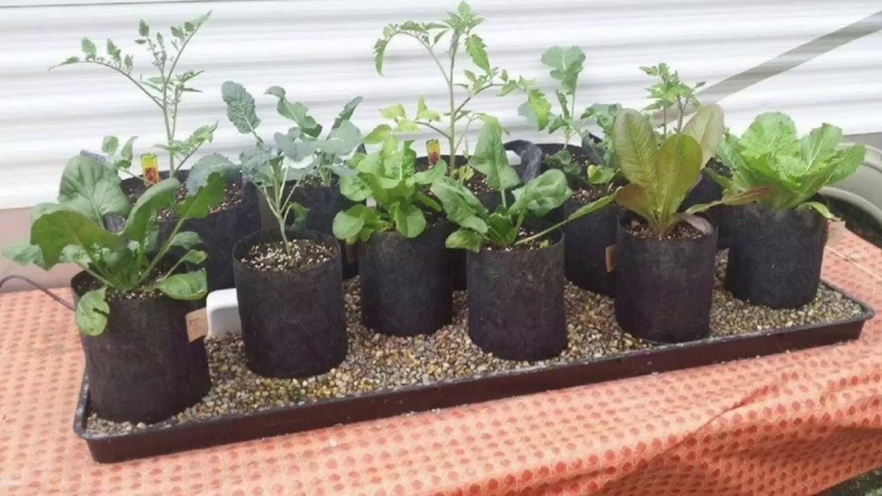 Incredible Automatic Self Watering Grow Bag Garden System "Plant it and Forget It"