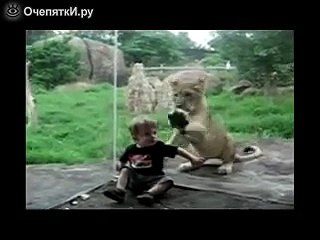 Приколы с детьми и животными