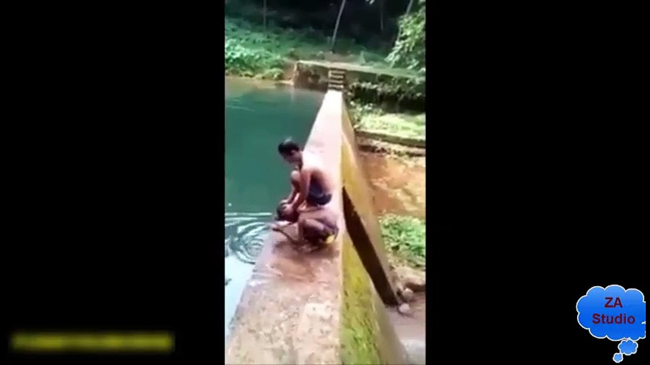 New Funny Viral Video you Must Watch