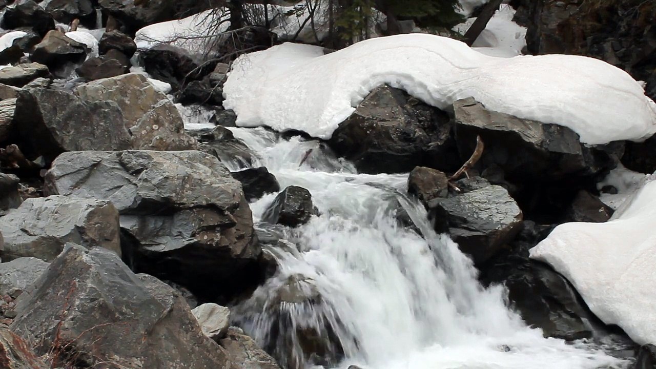 Runoff - 2780