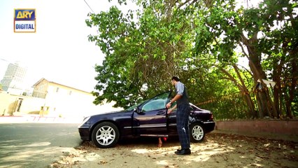 Watch Tum Milay Episode - 20 on Ary Digital in High Quality 21st November 2016