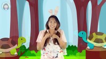 เพลงเต่า | เต่า เอ๋ย เต่า เต่ามันมีสี่ขา | เพลงเด็ก สำรับเด็กเล็ก เด็กอนุบาล by Little Rabbit