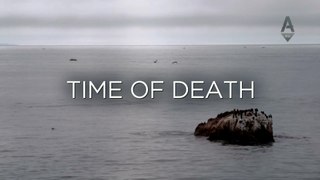Время Смерти 5 серия / Time of Death (2016) HD