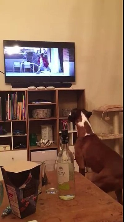 quand t'es à fond dans le film