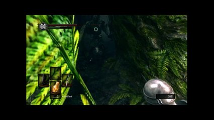 DARK SOULS- Taking a walk in some garden