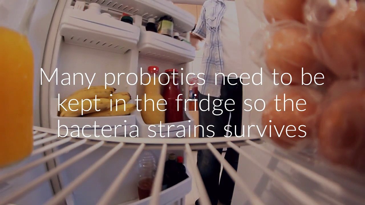 Perfect Biotics Probiotic America