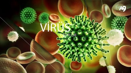 Görünmeyen Dünya - 3  -  (HD ) - Belgesel