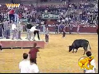 A Bull Riding & Accident Must Watch Whatsapp video 2017