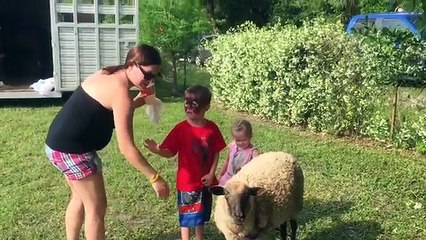 The Funniest Scared Kids Reaction compilation