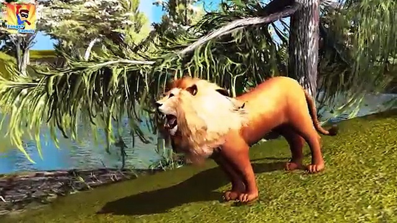 3D Finger Family Rhymes for Children Lion Elephant Bear | Finger Family Nursery Rhymes