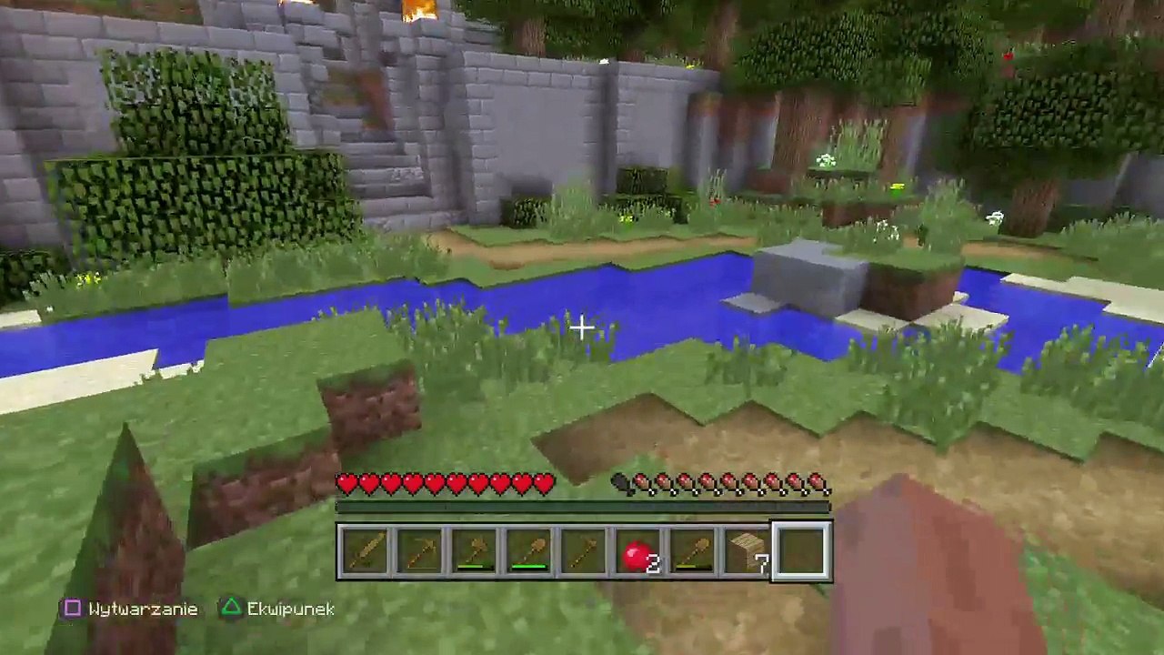 Minecraft #1 (5)